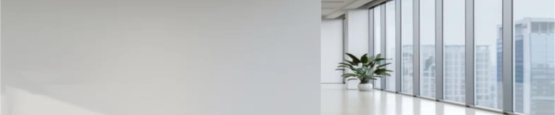 [Banner Principal]